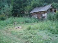 Мости з panoramio.com