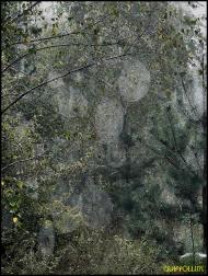 Мохначі з panoramio.com