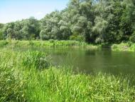 Червоний Шахтар з panoramio.com