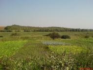 Лепесівка з panoramio.com