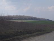 Підцурків з panoramio.com