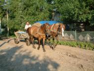 Бенева з panoramio.com