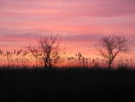 Маяки з panoramio.com