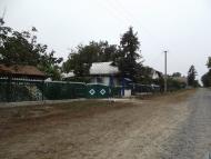 Антоніна - Останні фото