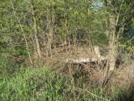 Северинівка