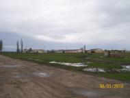 Пчельники - Последние фото