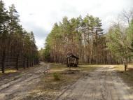 Котів з panoramio.com