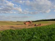 Острів з panoramio.com