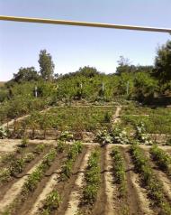 Городнє з panoramio.com