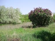 Темрюк з panoramio.com