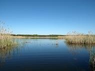 Красна Лука з panoramio.com