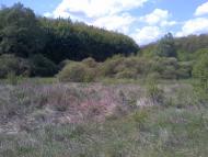 Коверівка - Останні фото