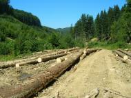 Мигове з panoramio.com