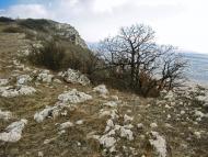 Мічурінське з panoramio.com