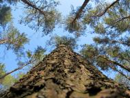 Полонне з panoramio.com