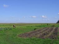 Дмитрів з panoramio.com