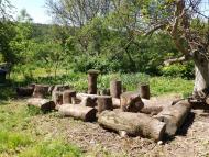 'Ненькина колиска'