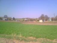 Жорнище з panoramio.com