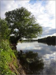 Дробишів з panoramio.com