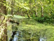 Карабазівка з panoramio.com