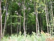 Юр'ямпіль з panoramio.com