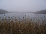 Новохортиця з panoramio.com