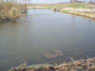 Цурків з panoramio.com