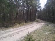 Котів з panoramio.com