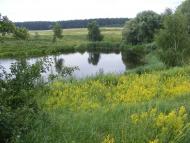 Вишняки з panoramio.com