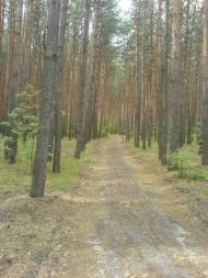 Морозовка - Последние фото