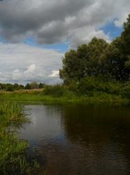 Грунівка - Останні фото