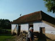 Бенева з panoramio.com