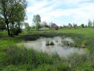 Сокіл з panoramio.com