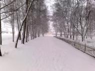 Рибалкине з panoramio.com