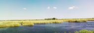 Кучурган з panoramio.com