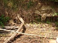 Новогришине з panoramio.com