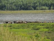 Устя-Зелене з panoramio.com