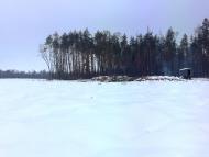 Вишняки з panoramio.com