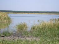 Булахівка з panoramio.com