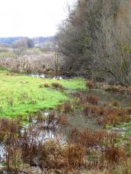 Павлівка Друга з panoramio.com