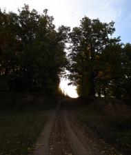 Лисогора з panoramio.com