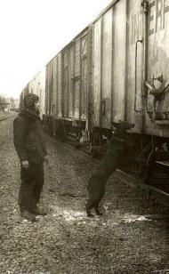 колишній пост 'Багринівка'