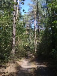 Вишняки з panoramio.com