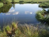 Спасів з panoramio.com