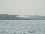 Лимани з panoramio.com