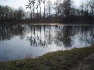 Цурків з panoramio.com