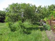 Дмитрівка з panoramio.com