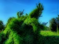 Гоголів з panoramio.com