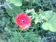 Никловичі клас!!!