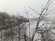 Рибалкине з panoramio.com